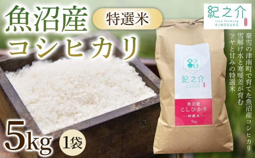 【令和8年産 先行予約】魚沼産コシヒカリ 特選米 5kg(5kg×1袋) | 新潟産コシヒカリ 新潟県産コシヒカリ 魚沼産こしひかり 米 お米 こしひかり 白米 精米 ブランド米 津南町 株式会社紀之介