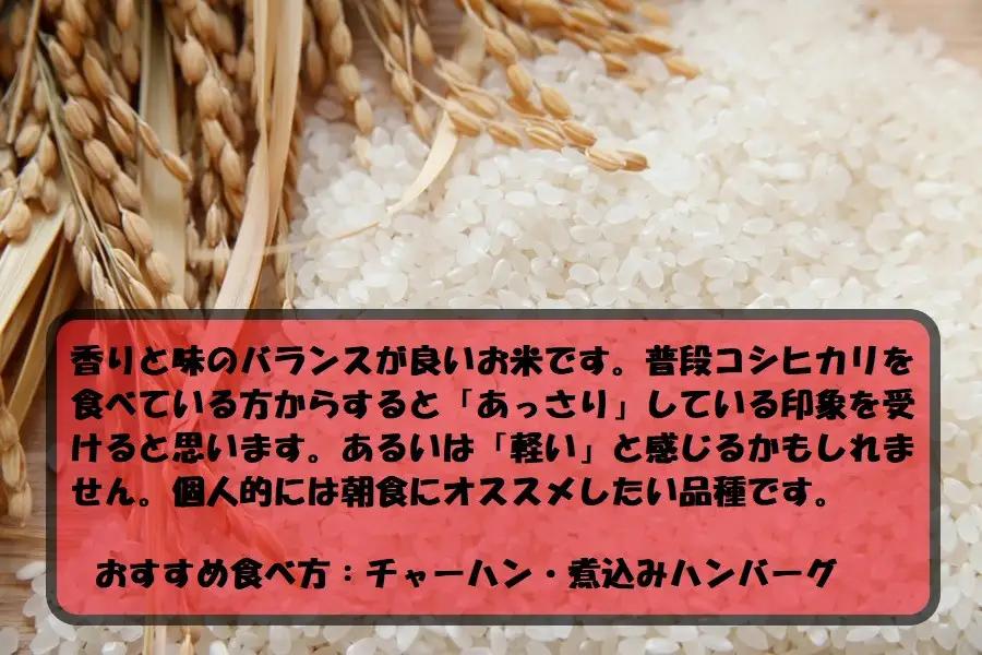 令和7年産 茨城あきたこまち 15kg （5㎏×3袋） | あきたこまち 白米 精米 ごはん お米 国産 茨城県産 守谷市 送料無料