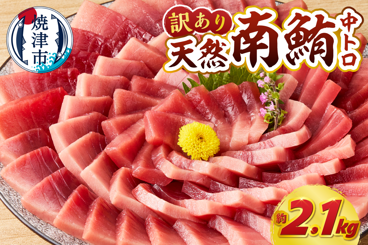 a43-009　訳あり ミナミマグロ まぐろ マグロ 鮪 刺身 中トロ 天然 切り落とし 約2.1kg