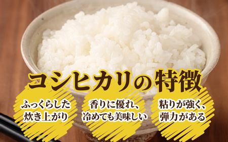 【3ヶ月定期便】【令和6年産 新米】大野産コシヒカリ（白米）5kg×3回 計15kg【大野ブランド米 名水育ち】[D-097001]