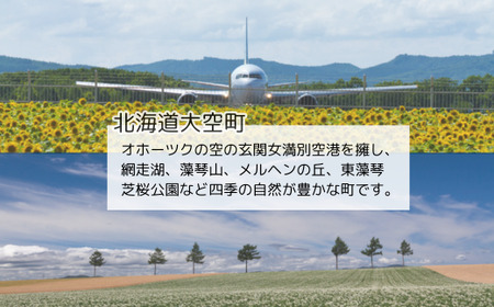 【先行予約】玉ねぎ Mサイズ 20kg 大空町産（2026年11月以降順次発送） OSR010 | 玉ねぎ