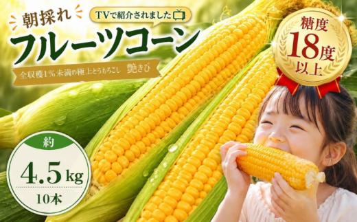 南国フルーツコーン 艶きび 10本入り | 特選 希少 厳選 プレミアム 高級 おひさまコーン とうもろこし トウモロコシ コーン スイートコーン フルーツとうもろこし もぎたて 新鮮 朝採れ 朝どり 夏野菜 旬 期間限定 数量限定 産地直送 農家直送 フルーツのような甘さ 甘い 激甘 皮付き 贈答用 高知県 南国市 BBQ バーベキュー キャンプ アウトドア