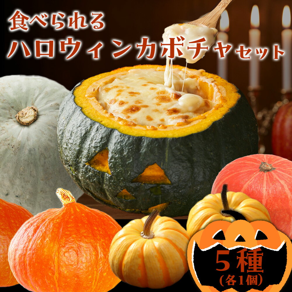 【ふるさと納税】〈萬福農研〉産地直送！食べれるハロウィンカボチャセット 5種北海道ふるさと納税 野菜 南瓜 ころりん プッチーニ 栗てまり 坊ちゃん 雪化粧 パーティー 飾りつけ 北海道 【北海道千歳市】