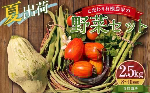 
            《先行予約》＜夏出荷＞こだわり有機農家の野菜セット 2.5kg(8～10種類) 自然栽培 オーガニック 有機栽培 無農薬 野菜 セット 詰合せ 化学肥料不使用 動物性肥料不使用 先行予約 予約 食品 F4D-0130
          