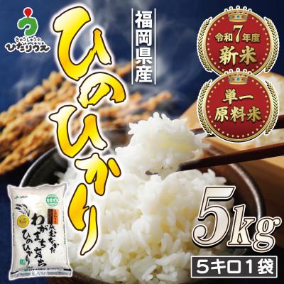 ふるさと納税 福津市 【R7年産】R7年11月〜JAより順次発送 「ひのひかり5kg」1袋[G2314a]