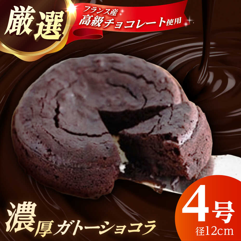 【ふるさと納税】【特選】ガトーショコラ (12cm 2人〜4人分) 【かいせい製菓】濃厚 チョコ ケーキ フランス産 高級チョコレート お菓子 ご褒美 スイーツ おやつ ギフト 贈り物 冷凍 [BDAJ001]