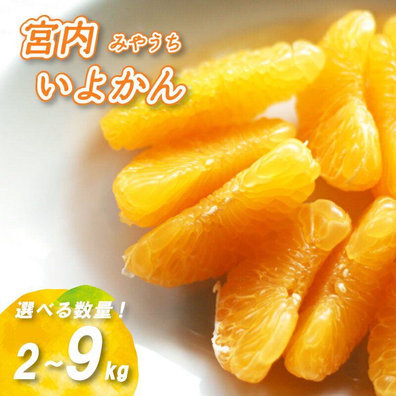 【ふるさと納税】 【2026年1月上旬から順次発送】 宮内いよかん 2kg / 4kg / 9kg 数量選択可 いよかん 伊予柑 みかん 数量限定 みかん 愛媛県産 みかん 松山市 みかん 中島 みかん いよかん 伊予柑 みかん 蜜柑 イヨカン 愛媛県 松山市