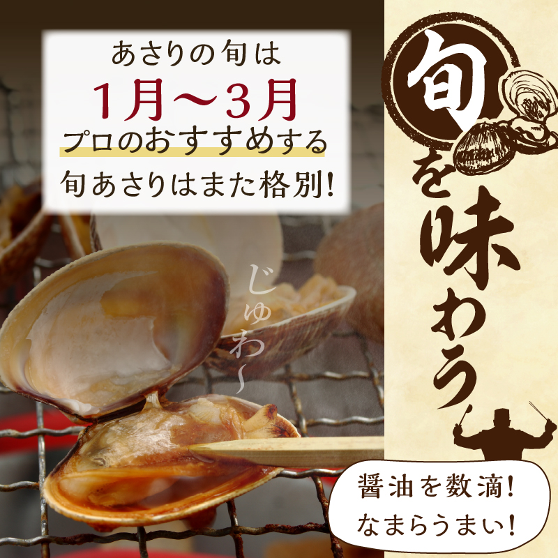 1月～3月発送分《先行予約・期間限定》浜中町産活あさり(500g×6袋セット)_230205-01