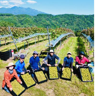 ふるさと納税 韮崎市 淡路結 シャルドネ 2023　750ml×2本セット |  | 02