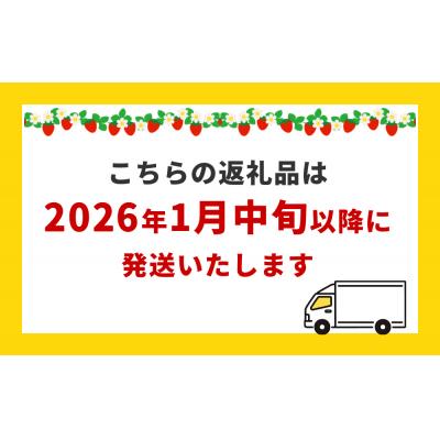 ふるさと納税 石巻市 【2026年1月中旬発送開始】 苺 とちおとめ 恋みのり にこにこベリー とらいべりー 280g×2 |  | 03