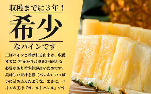 【先行予約】石垣島産 ゴールドバレル１玉 約2.0kg ギフト用梱包《2025年夏季 順次発送》【 ギフト 贈り物 産地直送 沖縄 石垣 フルーツ パイナップル パイン ゴールドバレルパイン 】SI-