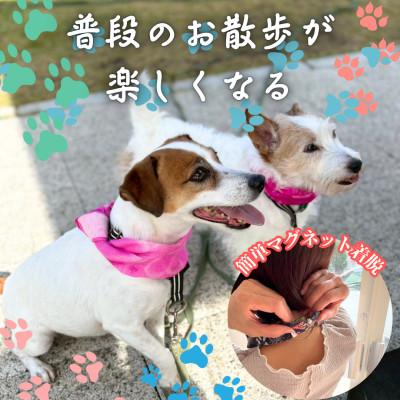 ふるさと納税 西桂町 【わんことお揃いスカーフ】天然素材生地の高級ストール残布で製造!簡単マグネット着脱　ホワイト/ウール |  | 02