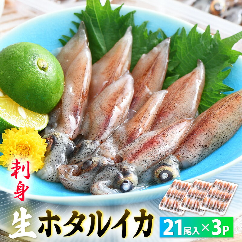 【ふるさと納税】急速冷凍 生 ホタルイカ 21尾入 × 3パック 合計約420g（刺身・しゃぶしゃぶ用）小分け 鮮度抜群【ほたるいか おつまみ 酒の肴 お取り寄せ グルメ 冷凍 宅飲み】
