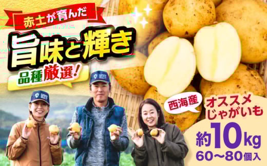 【先行予約】じゃがいも 勝田農園のおまかせ じゃがいも 約10kg（種類・サイズ混合） ジャガイモ ＜勝田農園＞ [CGM004] 長崎 西海 じゃがいも ぽてと jagaimo いも 芋 野菜 potato 産地直送 長崎 西海 ジャガイモ ポテト イモ にしゆたか 新鮮 芋 じゃがいも ホクホク じゃがいも おまかせ お取り寄せ 通販 野菜 サイズ混合 ジャガイモ ポテト とれたて 新じゃが