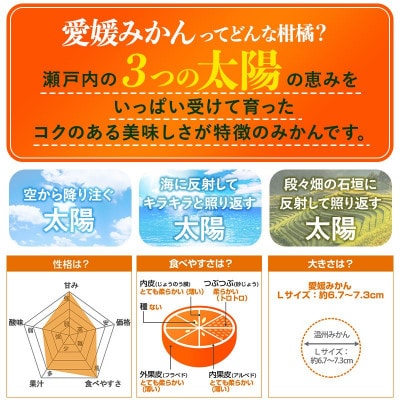 のま果樹園の愛媛みかん(約2kg)バラ詰め【1759293】