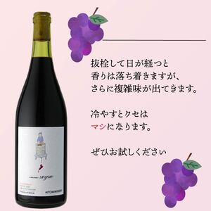 ワイン 2本 セット cuvee RYUO 2022 キュベリュウオウ 2本 セット 750ml × 2本 赤 ライト ボディ 辛口 マスカット ベリー ギフト 日本ワイン 酒 お歳暮 プレゼント ヒ