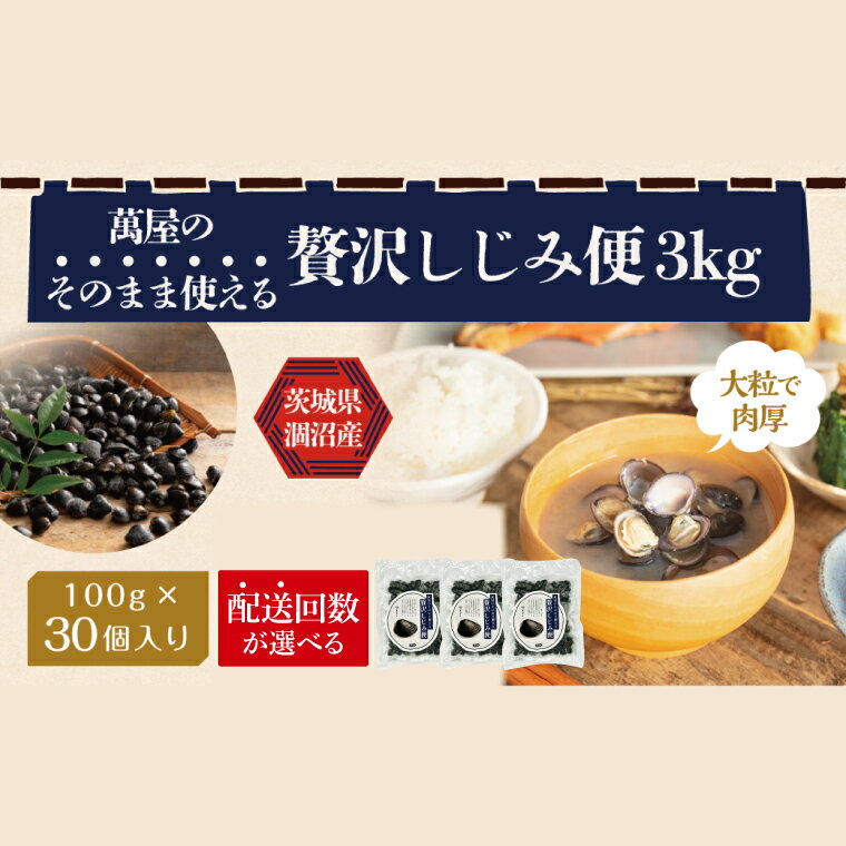 【ふるさと納税】【選べる配送回数】涸沼産冷凍しじみ中粒3kg（100g×30p）【シジミ 中粒しじみ 産地直送 砂抜き済み 砂抜き 小分け包装 味噌汁 みそ汁 茨城県】（CA-14）
