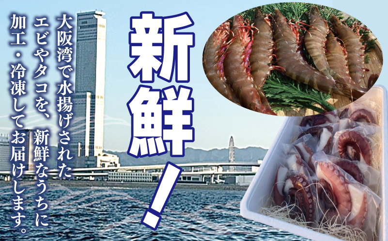 足赤エビ 500g+冷凍ボイルタコ 足のみ 合計1kg 計1.5kg【国産 天然 えび ぷりぷり たこ 刺身 海鮮 水揚げ 生食可】