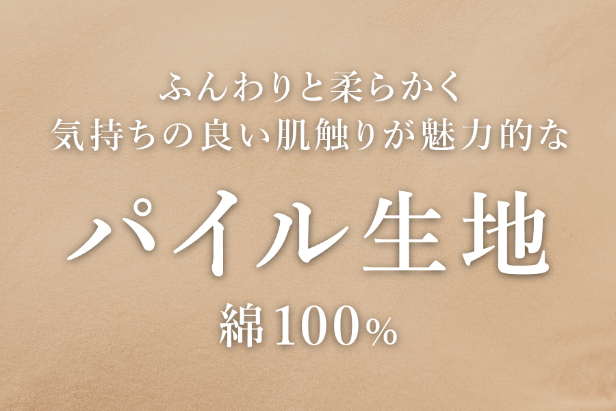 Sybilla(シビラ)刺繍入りパイルプレーン　枕カバー2枚セット　ミスト