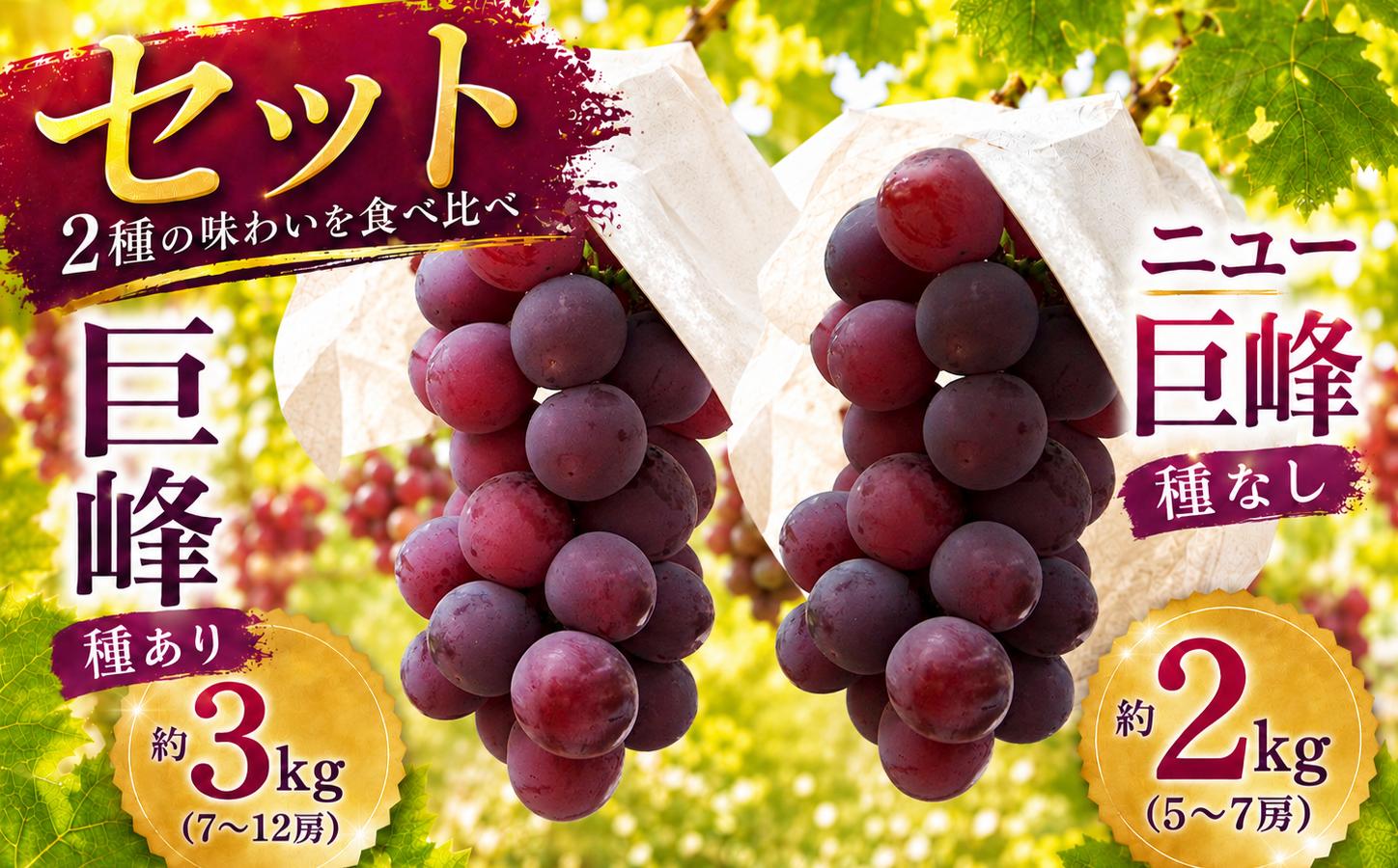
                  巨峰 約3kg (7～10房) ＋ ニュー巨峰 約2kg (5～7房) セット | ブドウ ぶどう 葡萄 果物 フルーツ くだもの 産地直送 甘い 種あり 種なし 大分県産 九州産 中津市 国産 送料無料
                