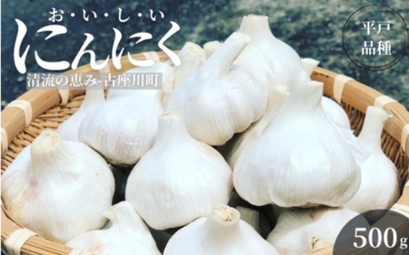 古座川町の恵みが育んだ ご縁座の乾燥にんにく 500g / にんにく 乾燥にんにく ガーリック【gnz107】