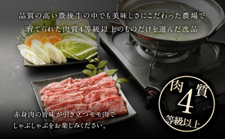 【おおいた和牛】ももしゃぶしゃぶ用（600g）｜ 肉質4等級以上 こだわりの逸品