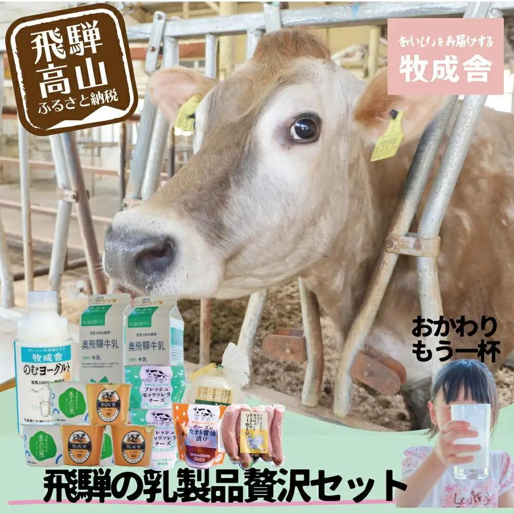 ＜牧成舎＞飛騨の牛乳屋こだわり乳製品贅沢セット（牛乳・ヨーグルト・チーズ・ソーセージ） DF027