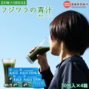 【ふるさと納税】＜フジワラの青汁・粉末タイプ(30包入)×4箱＞ ※翌月末迄に順次出荷します。 有機JAS認証品 ケール 国産 香料・着色料・保存料・甘味料無添加 無糖 糖質0 溶けやすい 野菜粉末 愛媛県 西条市 【常温】