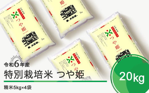 
            新米 令和6年産 米 つや姫 20kg 大石田町産 特別栽培米 精米 ja-tssxb20
          