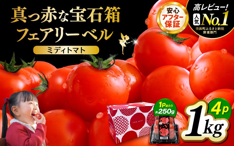 
                  【2026年10月より順次発送】フルーツ トマト 約1kg 大人気 トマト とまと ミディトマト フルーツトマト 野菜 やさい 新鮮 産地直送 甘い 高糖度 食べやすい  [m37-a024_10]
                
