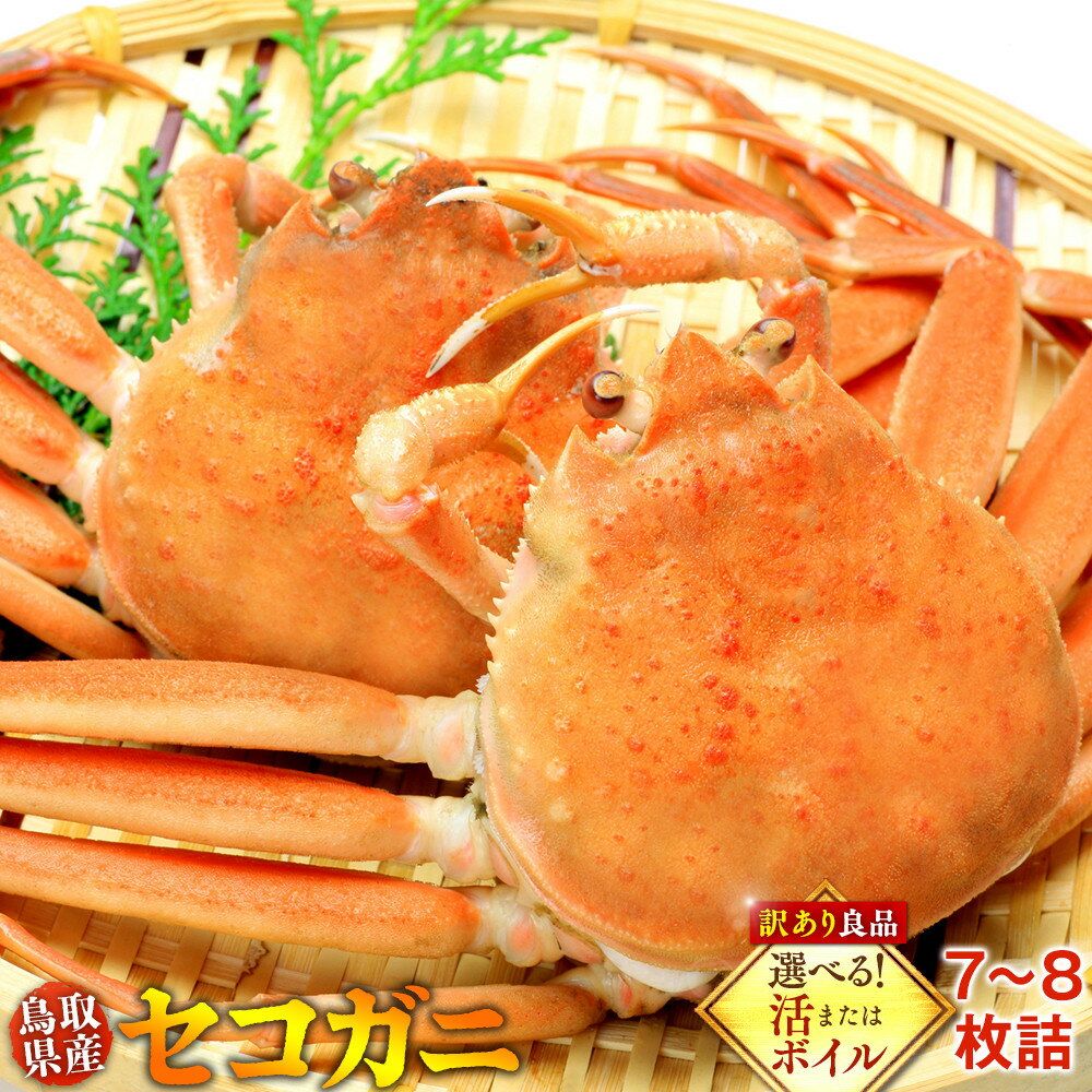 【ふるさと納税】922.【選べる！活またはボイル】鳥取県産セコガニ　訳あり　良品7~8枚詰《かに カニ 蟹 セコガニ》※2025/11/6～2025/12/25に順次発送予定※着日指定不可 離島不可（北海道、沖縄本島は配送可能）