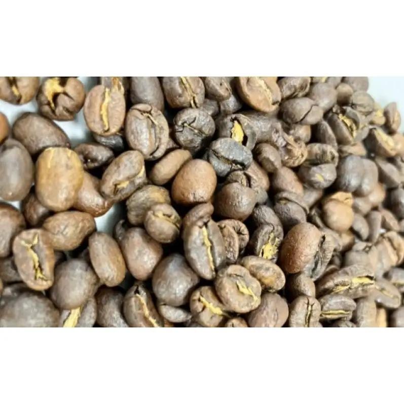 飲み比べセット 自家焙煎コーヒー グァテマラ モカ 飲み比べセット【グァテマラ221g モカ285g】