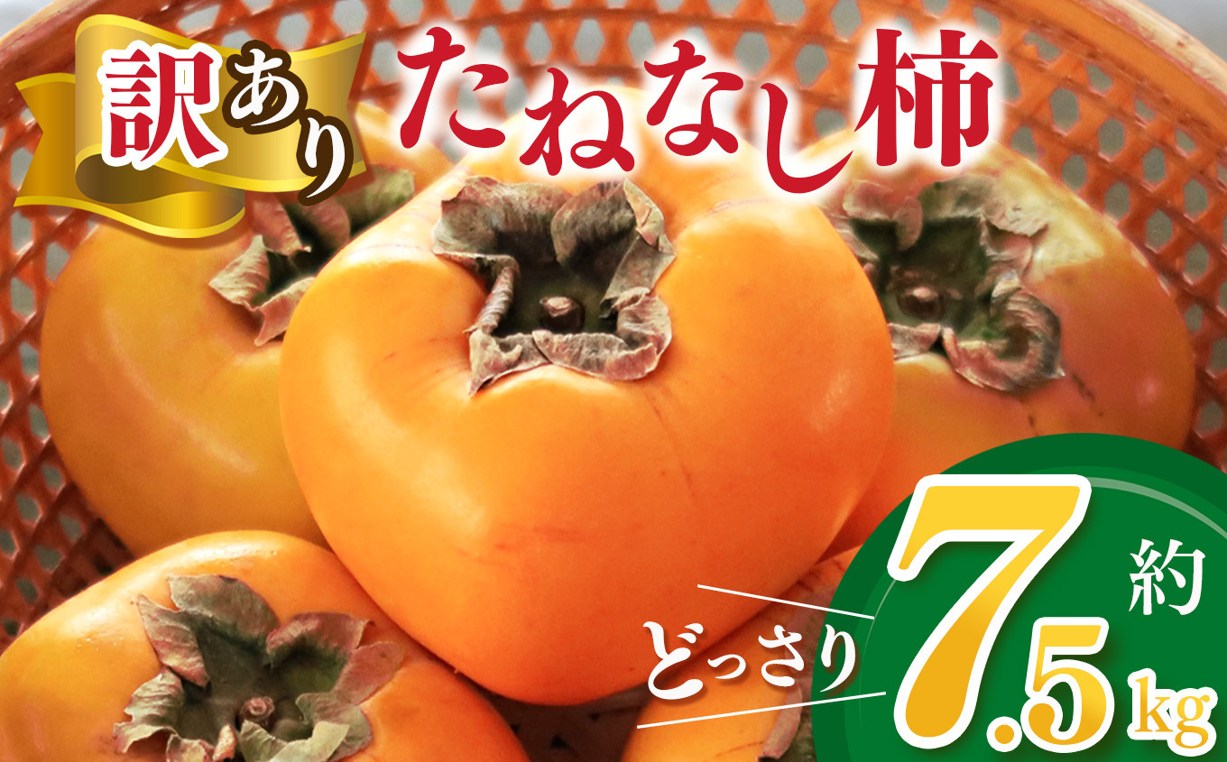 
            【家庭用】どっさりわけあり たねなし柿 約7.5kg | フルーツ くだもの 果物 柿 かき カキ  奈良県 五條市 訳 あり わけあり 家庭用 自宅用 どっさり たっぷり 種なし 種無し 種なし柿 産地直送 国産 人気 送料無料 甘い 不揃い 規格外 グルメ お取り寄せ
          