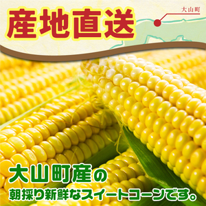 AS-26　大山スイートコーン　等級(秀)　5㎏　10～14本入