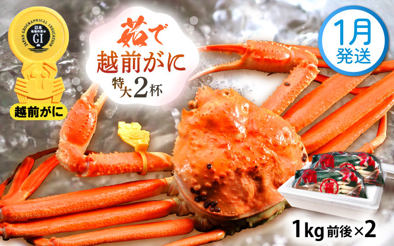 
            越前がに本場の越前町からお届け！ 越前がに 浜茹で 特大サイズ（生で1kg前後） × 2杯 かにの食べ方しおり かにスプーン付き【かに カニ 蟹】【福井県 越前町 雄 ズワイガニ ボイル 冷蔵 越前ガニ 越前かに 越前カニ ずわいがに ずわい蟹 かに カニ 蟹】【1月発送分】希望日指定可 備考欄に希望日をご記入ください [e15-x013_01]
          