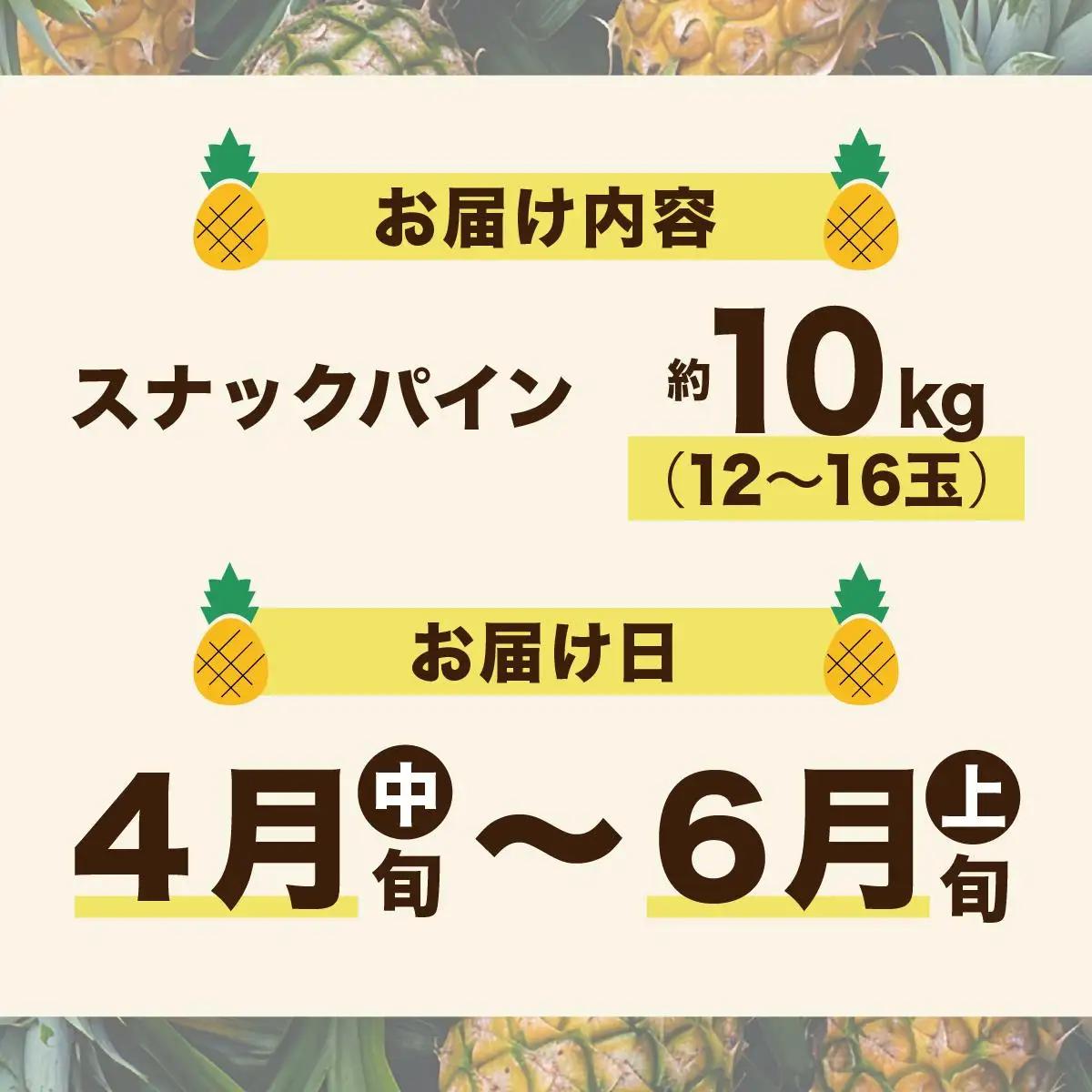 【2027年 先行予約】スナックパイン 約10kg 