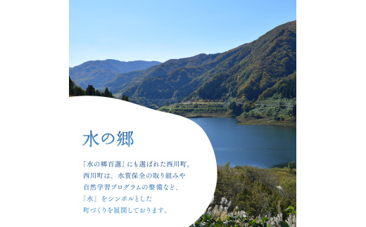 FYN9-015 月山自然水2L×6本×2箱 天然水 国産 備蓄 防災 保存 ペットボトル ナチュラル 山形県 西川町
