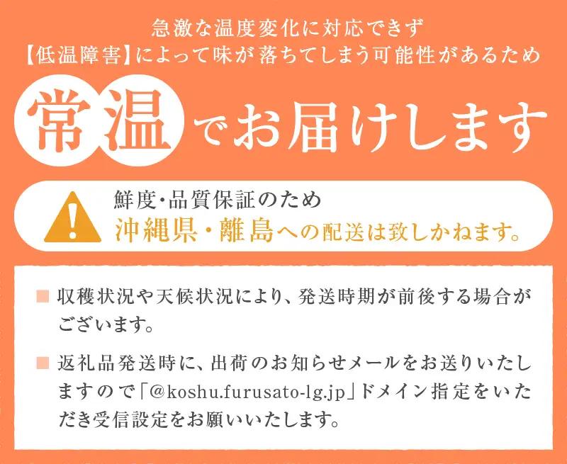 甲州屋厳選 甲州高原トマト 約4kg【2026年発送】B-405
