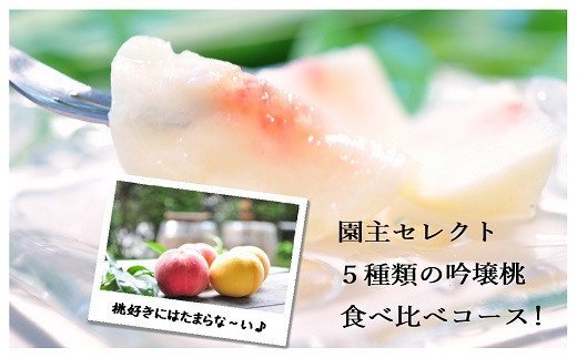 フルーツファームカトウ 【限定50セット】★園主セレクト 5種類の吟壌桃 食べ比べコース★【全4回発送】【2022年発送】