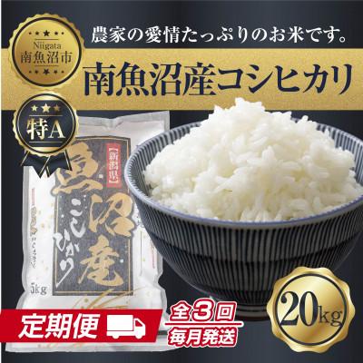 ふるさと納税 南魚沼市 【毎月定期便】南魚沼産 コシヒカリ 精米 20kg(美味しい炊き方ガイド付)全3回