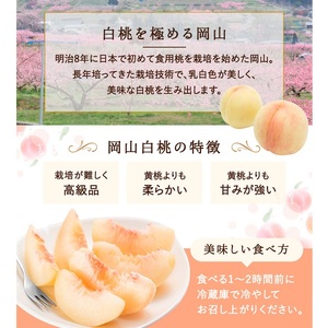 桃 先行予約 岡山 白桃 3玉 約750g 化粧箱 果物 フルーツ もも モモ 桃