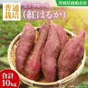 【ふるさと納税】【先行予約】【10月中旬～11月末までの発送品！】【普通栽培】紅はるか 生さつまいも(10kg) 【サツマイモ 芋 おいしい べにはるか 新鮮 朝採れ お得 焼き芋 天ぷら さつま芋】（KAG-37）