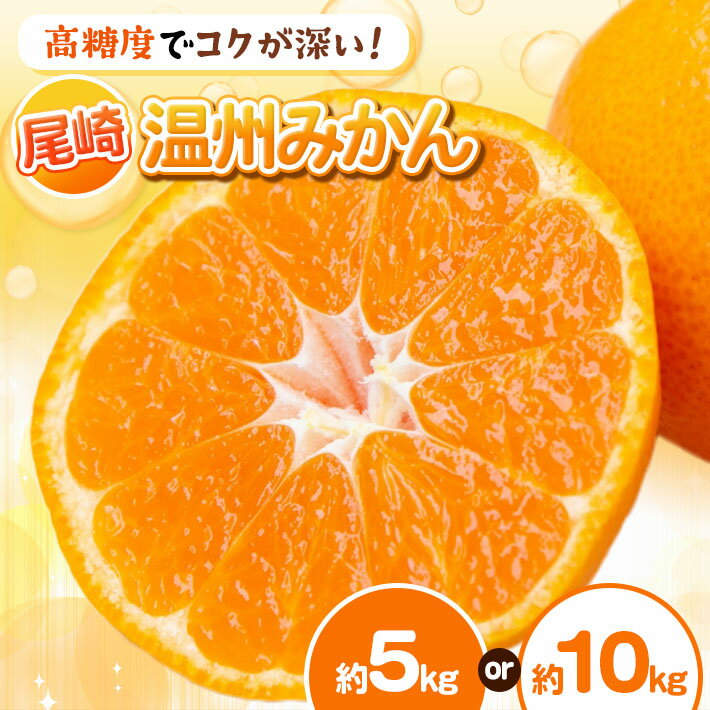 【ふるさと納税】選べる 容量 【訳あり】 温州 みかん 約5kg 約10kg | 柑橘 フルーツ 果物 くだもの ふるーつ 熊本県 玉名市