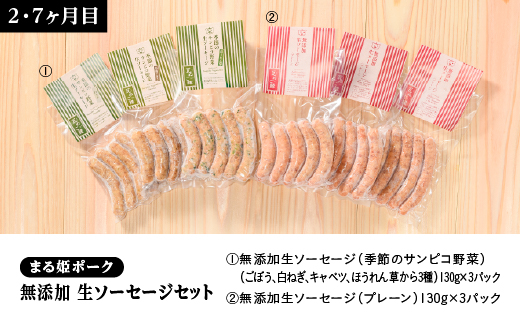 定期便【10ヶ月】まる姫ポーク おすすめセット(精肉セット 生ソーセージセット 焼肉セット ホルモンセット しゃぶしゃぶセット)