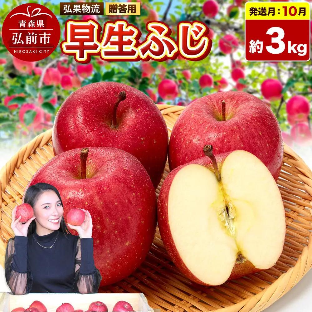 【26年10月発送】りんご 早生ふじ【贈答用】約3kg 青森県 弘前市