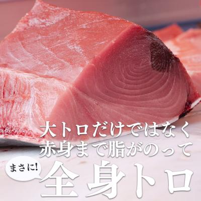ふるさと納税 大月町 特大 国産 養殖 本マグロ 解体人付き 50kg以上 一本丸ごと 刺身 300人前 まぐろ 出張対応 |  | 02
