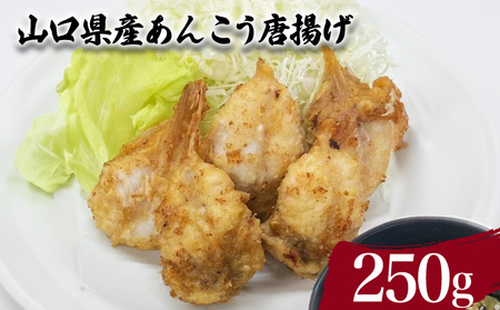 山口県産 あんこう 唐揚げ 250g ( 鮮魚 魚介 海鮮 鮟鱇 海の幸 加工品 惣菜 お手軽 便利  簡単調理 揚げるだけ おかず ごはんのお供 ご飯 お米 夕食 おやつ おつまみ 酒 ビール ) 下関 山口 JD008