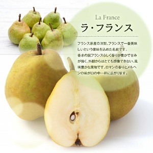 SA3039　酒田産【特選】ラ・フランス　約3kg(玉数おまかせ)