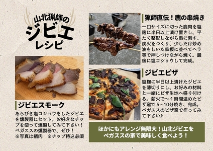 【貸切キャンプ】山北町産ジビエ肉(鹿肉)１kg付き・ペガススの家【１泊２日・５名】【 体験 チケット 旅行 キャンプ アウトドア 神奈川県 山北町 】