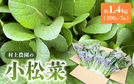福井県坂井市三国町 村上農園産 小松菜 9パック入り 約1.35kg (150g × 9袋) [A-16509]